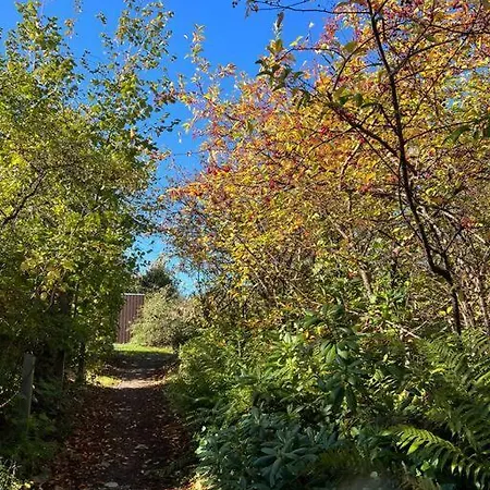 Rummelig Sommerhus I Gilleje * Gilleleje